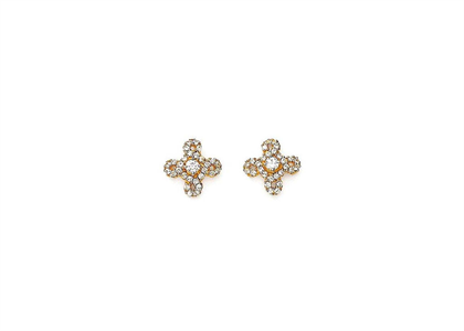 Gold Plated | Fashion Earrings